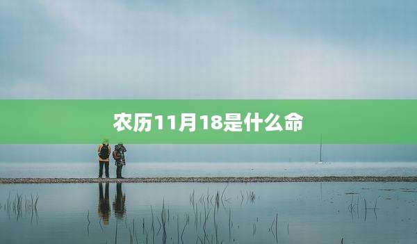 农历11月18是什么命