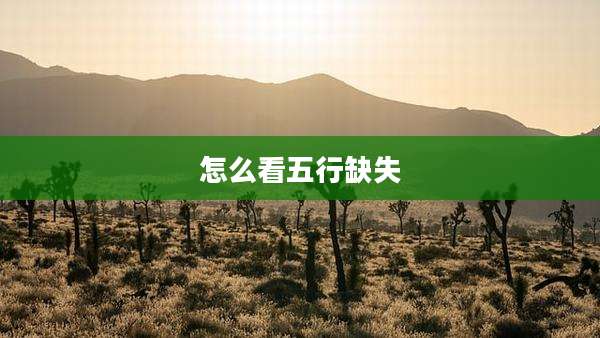 怎么看五行缺失
