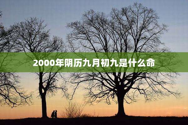 2000年阴历九月初九是什么命