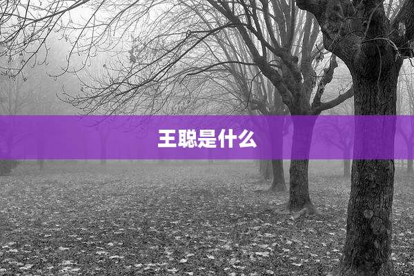 王聪是什么