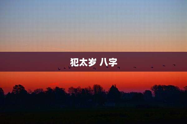 犯太岁 八字