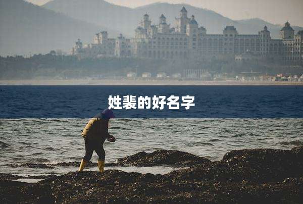 姓裴的好名字
