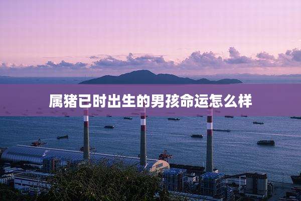 属猪已时出生的男孩命运怎么样
