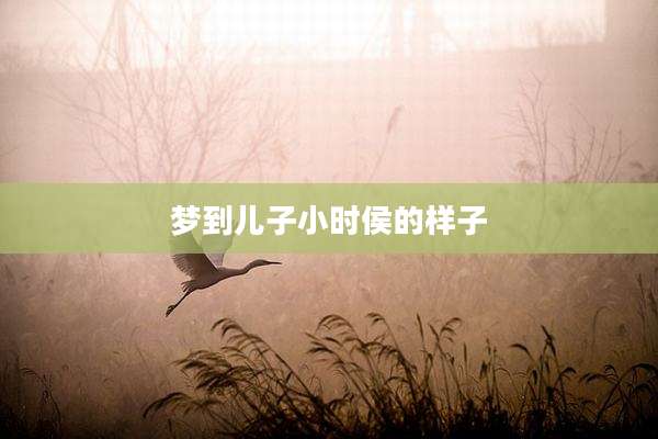 梦到儿子小时侯的样子