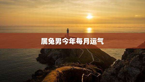 属兔男今年每月运气