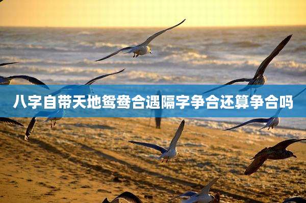 八字自带天地鸳鸯合遇隔字争合还算争合吗