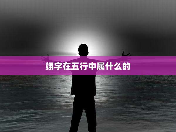 翊字在五行中属什么的
