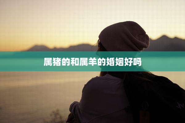 属猪的和属羊的婚姻好吗