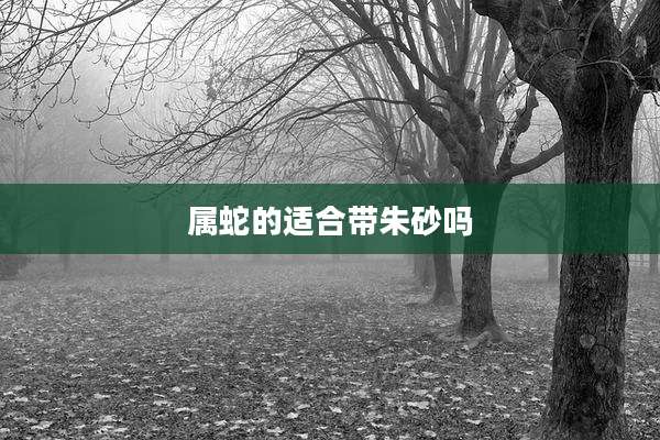 属蛇的适合带朱砂吗
