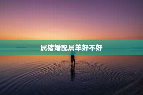 属猪婚配属羊好不好
