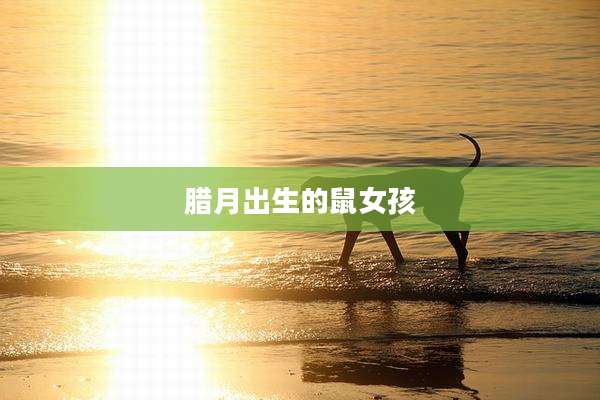 腊月出生的鼠女孩