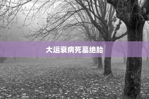 大运衰病死墓绝胎
