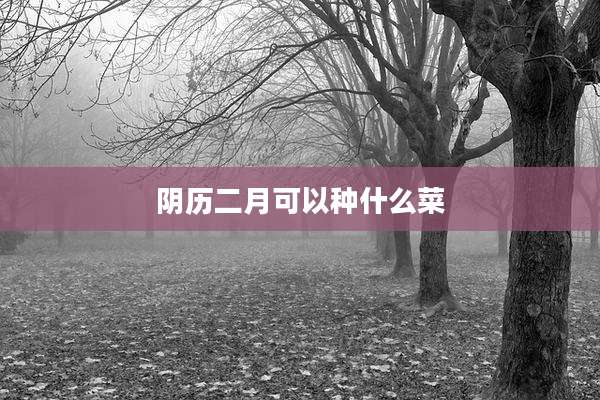 阴历二月可以种什么菜