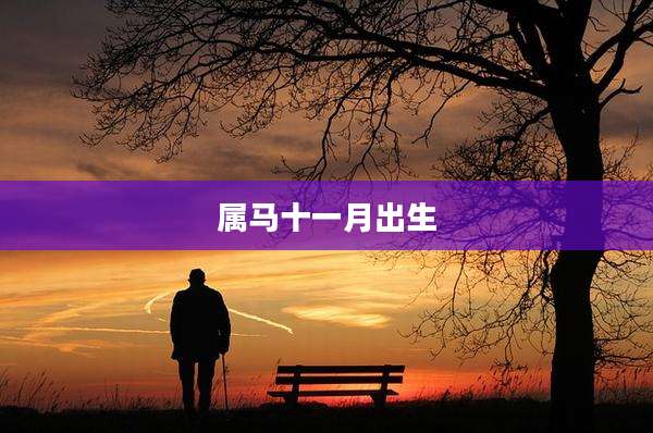 属马十一月出生