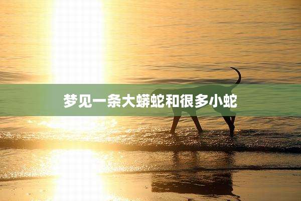 梦见一条大蟒蛇和很多小蛇