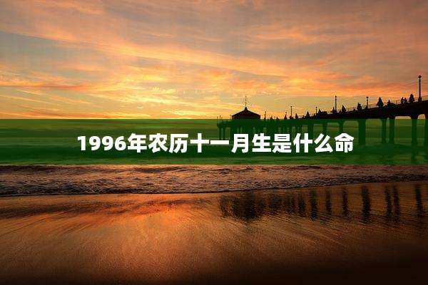 1996年农历十一月生是什么命