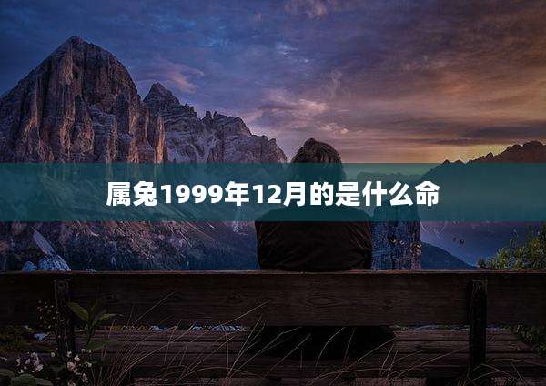属兔1999年12月的是什么命