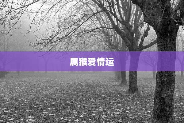 属猴爱情运