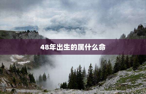48年出生的属什么命