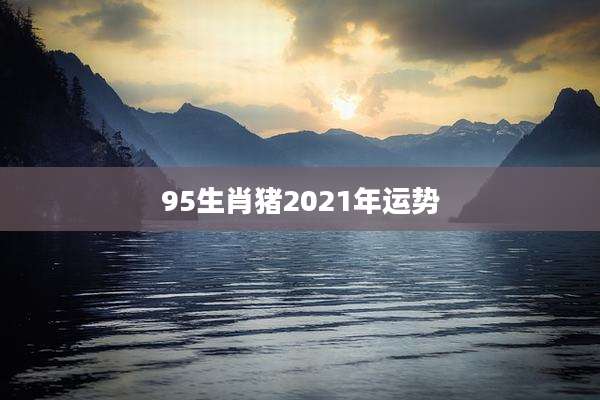 95生肖猪2021年运势