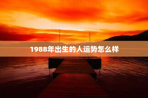 1988年出生的人运势怎么样