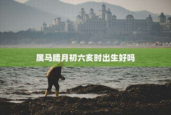 属马腊月初六亥时出生好吗