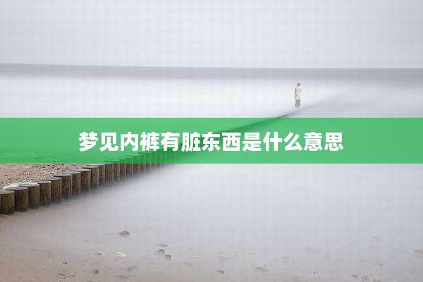 梦见内裤有脏东西是什么意思
