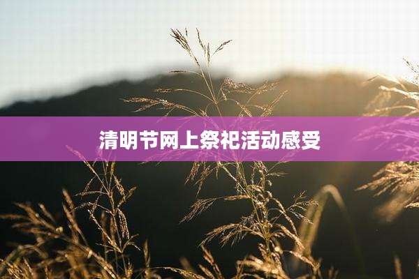 清明节网上祭祀活动感受