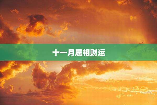 十一月属相财运