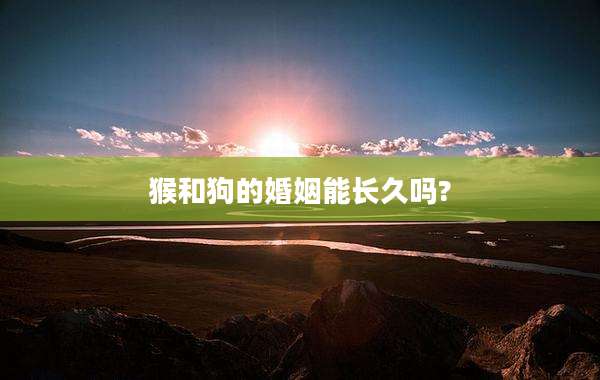 猴和狗的婚姻能长久吗?