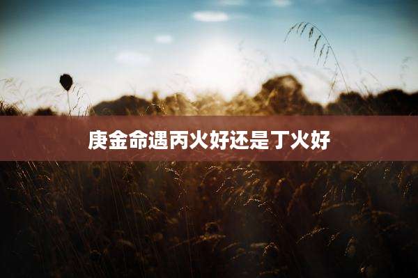 庚金命遇丙火好还是丁火好