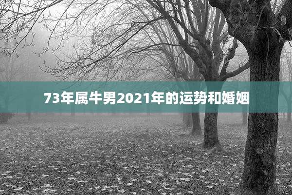 73年属牛男2021年的运势和婚姻