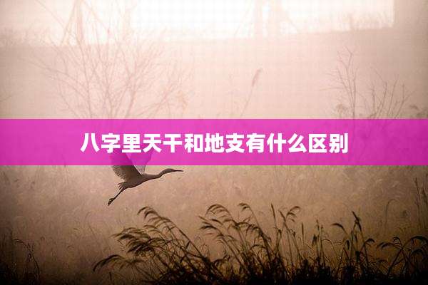 八字里天干和地支有什么区别