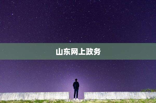 山东网上政务