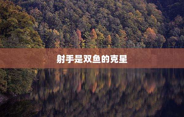 射手是双鱼的克星