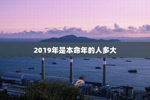 2019年是本命年的人多大