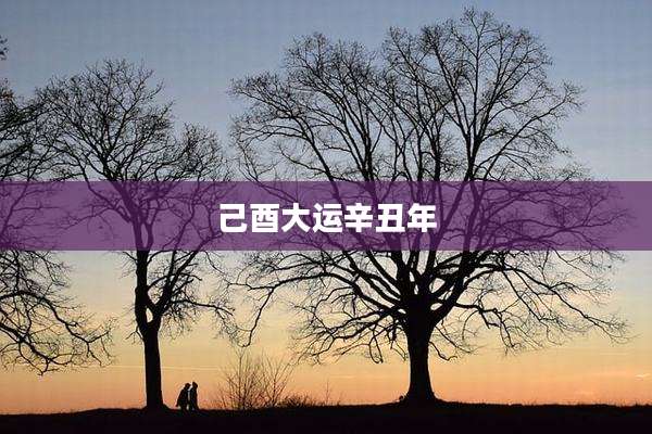 己酉大运辛丑年