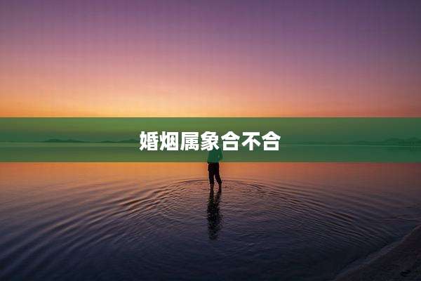婚烟属象合不合