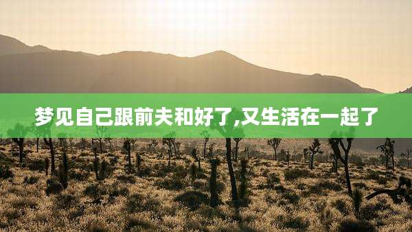 梦见自己跟前夫和好了,又生活在一起了