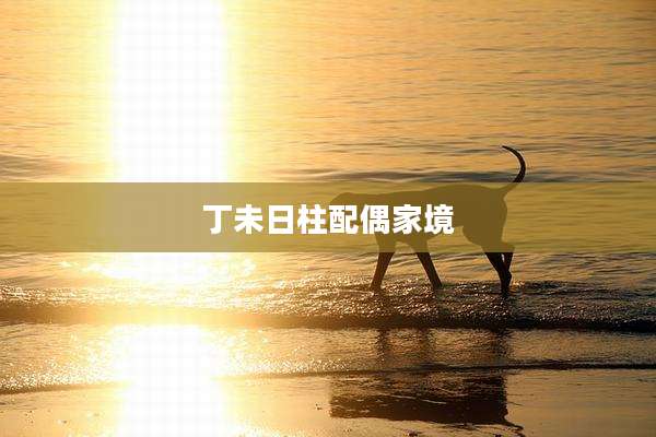 丁未日柱配偶家境