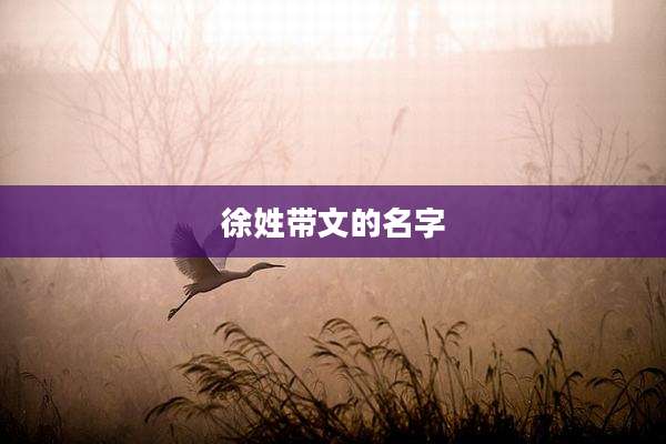 徐姓带文的名字