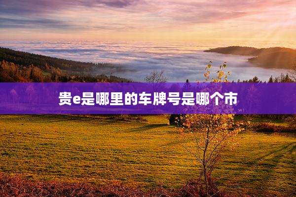 贵e是哪里的车牌号是哪个市