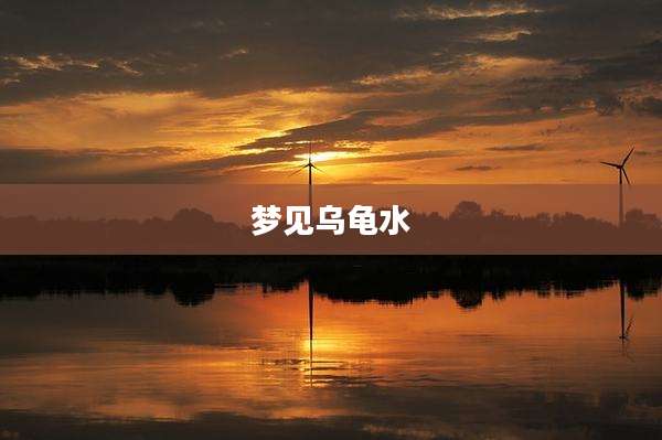 梦见乌龟水