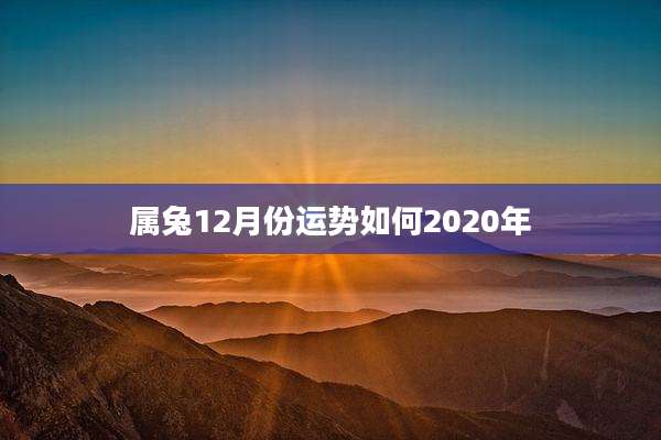 属兔12月份运势如何2020年