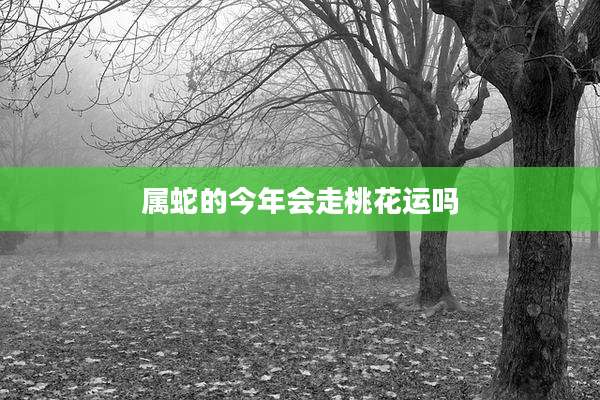 属蛇的今年会走桃花运吗