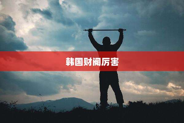 韩国财阀厉害
