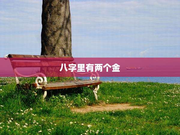 八字里有两个金