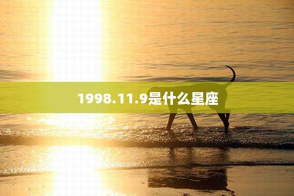 1998.11.9是什么星座