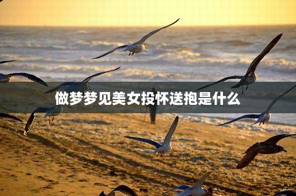 做梦梦见美女投怀送抱是什么