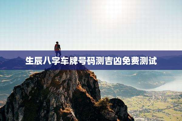 生辰八字车牌号码测吉凶免费测试